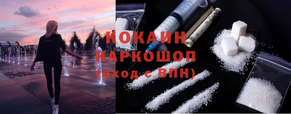 хмурый Анива