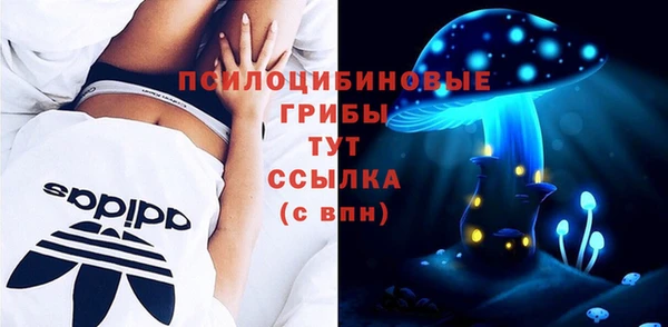 герыч Новозыбков