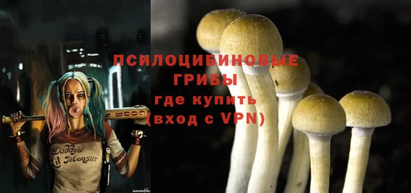 синтетический гашиш Анжеро-Судженск