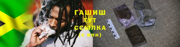 прущие крисы Новокубанск