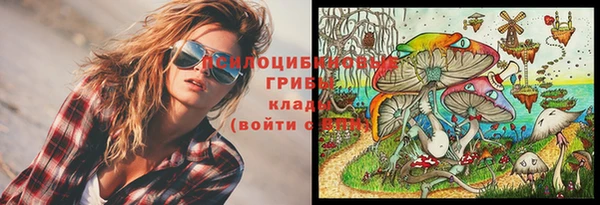 прущие крисы Новокубанск