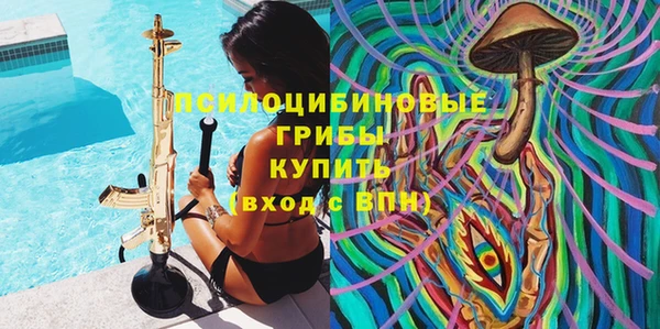бошки Бердск