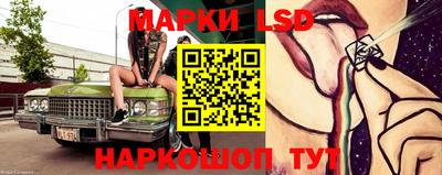 гидропоника Будённовск