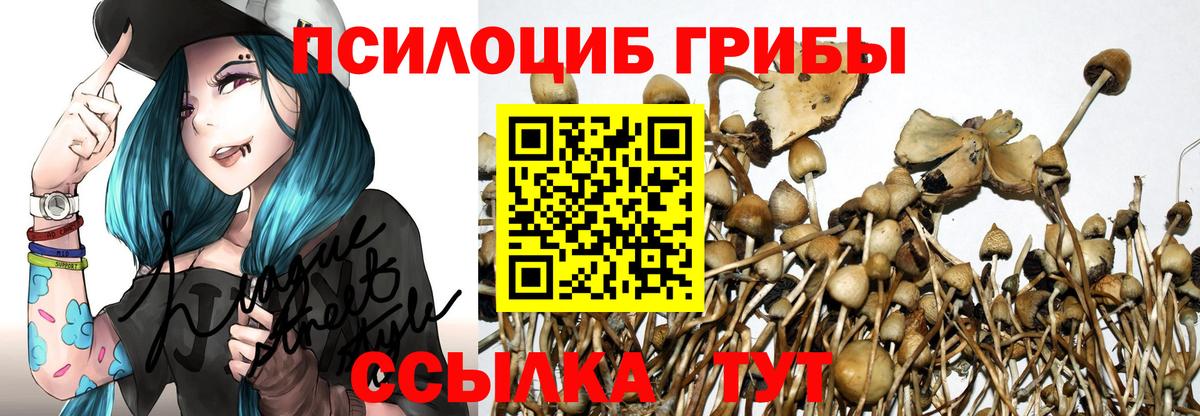 Галлюциногенные грибы GOLDEN TEACHER  Майский  Псилоцибиновые грибы Psilocybe 