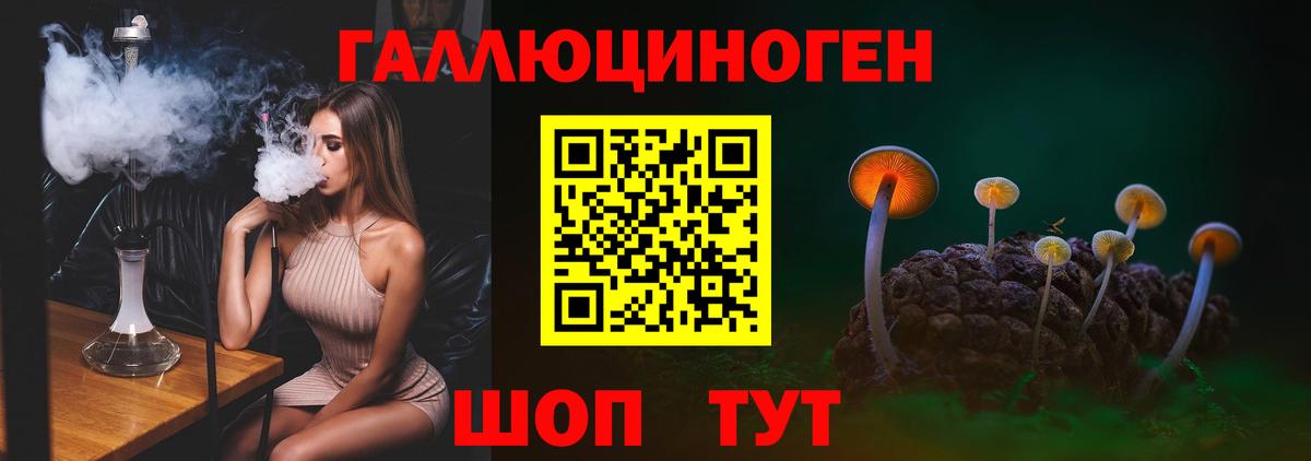 наркошоп  Вход с VPN  Майский  Псилоцибиновые грибы Psilocybine cubensis 