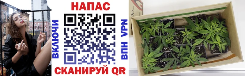 ссылка на мегу ссылки  Майский  Каннабис марихуана  купить наркоту 